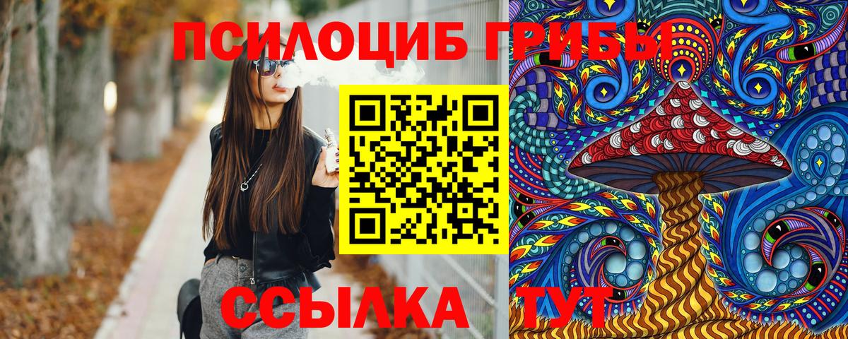 Псилоцибиновые грибы мухоморы Михайловка