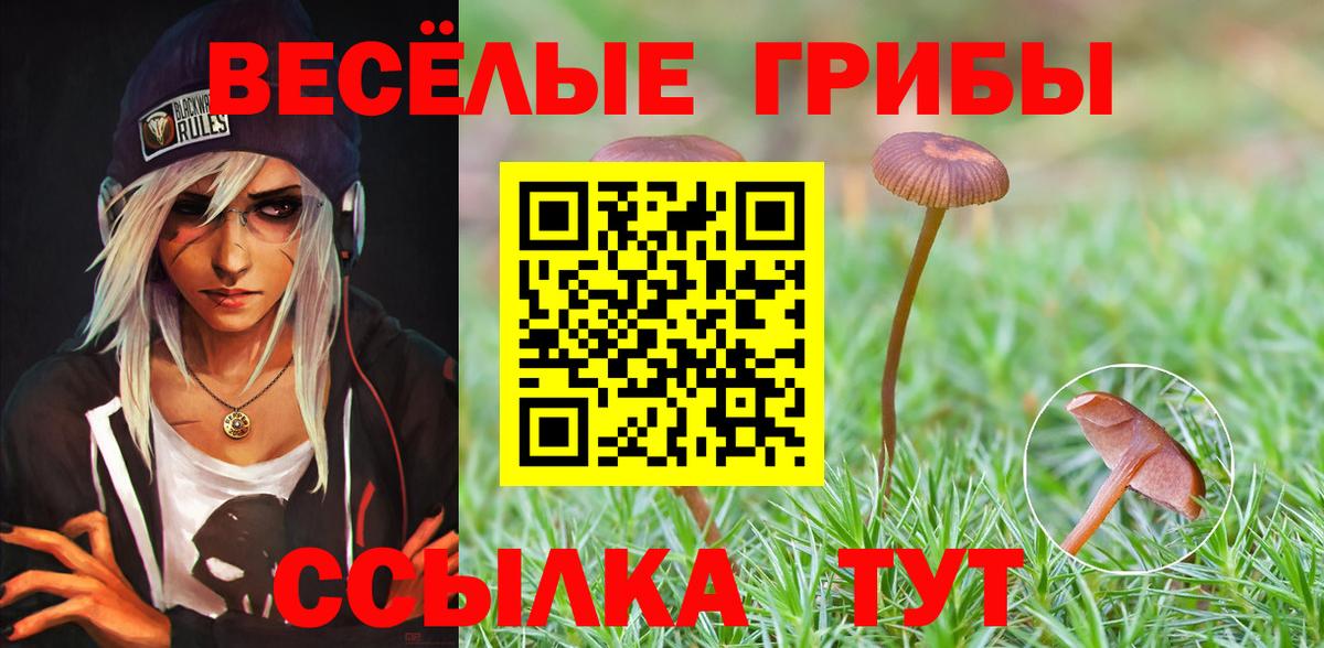 Галлюциногенные грибы прущие грибы  Вход с VPN  Михайловка 